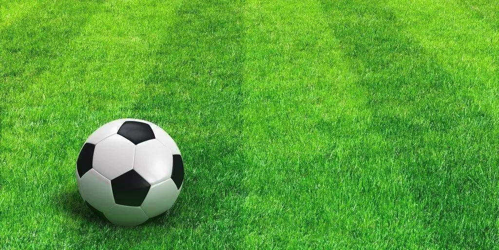 用户张先生头像